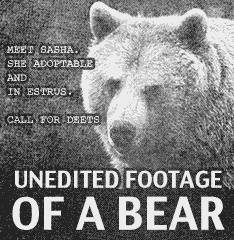 Unedited Footage Of A Bear