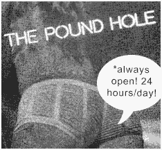 THE POUND HOLE