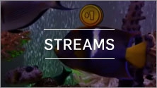 Streams