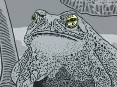 Watch Free Online Video Snake 'N' Bacon - Toad to Perdition  