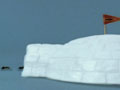 play video on Adult Swim