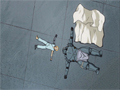 Watch Free Online Video Fullmetal Alchemist: Brotherhood - Created Feelings