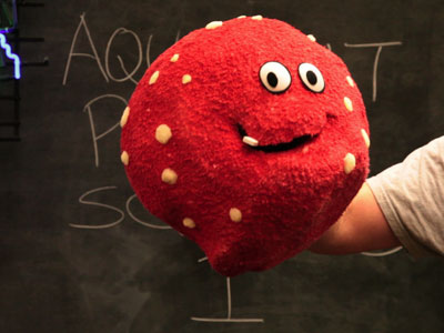 ATHF: AUPS1 Press Release - Press Releases