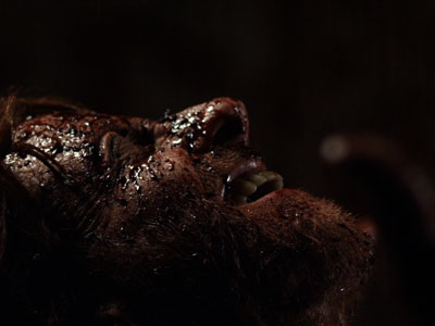 Eagleheart: Murder for Meatloaf