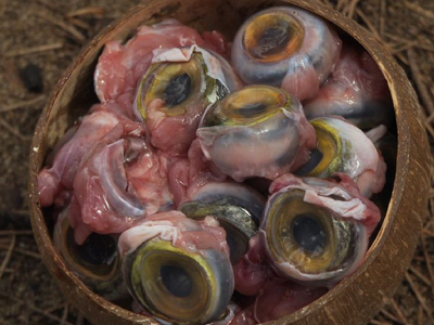 Watch Free Online Video Loiter Squad - Celebrity Fish Eyes