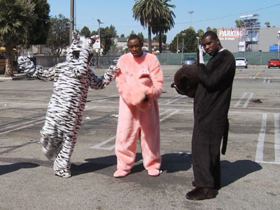 Jasper's About to Do the Intro - Loiter Squad
