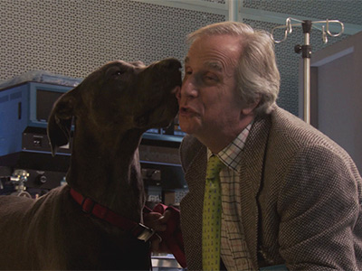 What If... Sy Had a Big Dog? - Childrens Hospital Webisodes