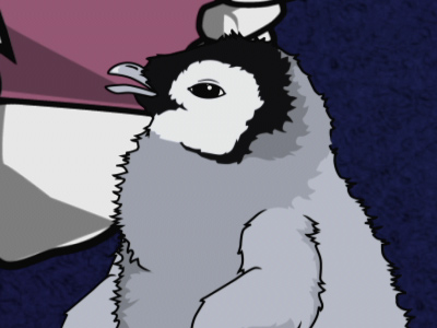 play video on Adult Swim