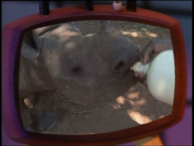 Space Ghost Coast to Coast: There Is No Siegfried and Roy in Africa