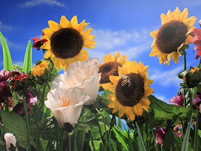 Two-Timing Bumblebee - Robot Chicken