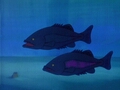 play video on Adult Swim