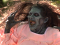 Watch Free Online Video Stiff - Stiff
