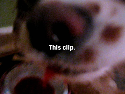 Eat That Ketchup - Xavier: Renegade Angel