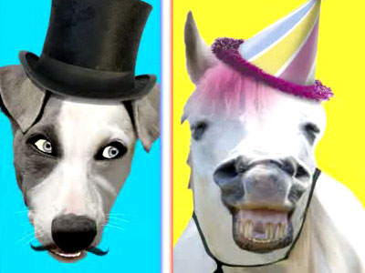 Auto Companies - Dog vs. Cat.