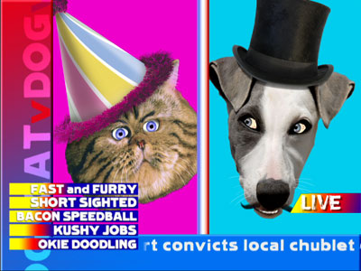 Only Users Lose Drugs - Dog vs. Cat.