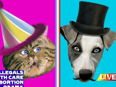 Round 9 - Dog vs. Cat.