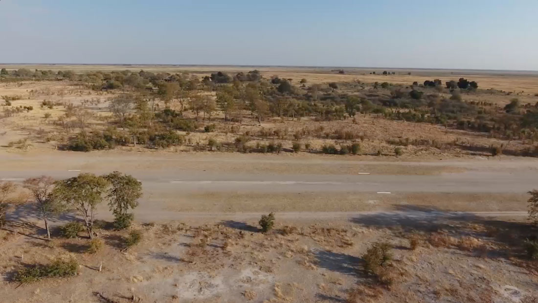 Watch When Elephants Were Young Online Hollywoodreporter