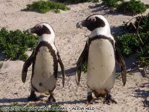 art.penguins..jpg
