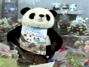 Thousands have flocked to the elaborate shrine.