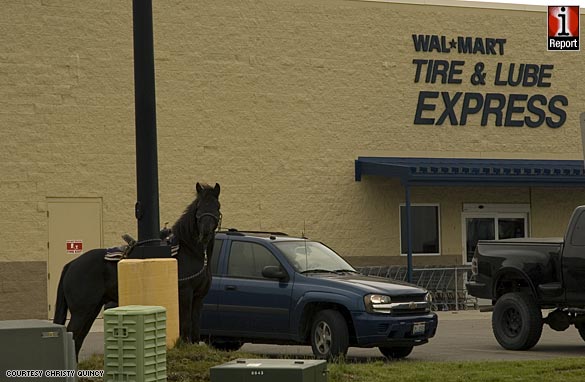 Horse Tied Up in a Wal*Mart parking lot - iReport.com
