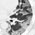 H1N1 virus attacks deep into the lungs