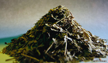 Ginkgo doesn't work: How else to save your brain?