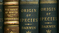 Opinion: Darwin and 'militant atheism'