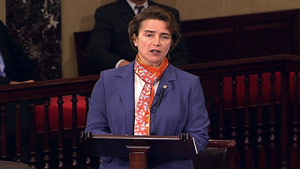 Arkansas Sen. Blanche Lincoln is the 60th vote Democrats need to bring the health care reform bill to the floor.