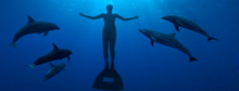 Film exposes dolphin slaughter