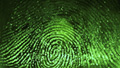 The hidden costs of identity theft 