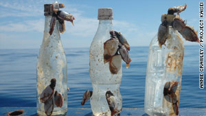Project Kaisei: Voyage to clean up plastic vortex