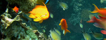 Investing in protecting the planet