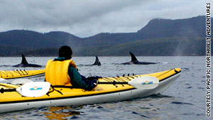 Kayakers may see pods of orcas in British Columbia's Johnstone Strait.