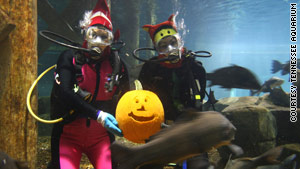 The Tennessee Aquarium in Chattanooga is hosting "Thrills, Gills and Chills" special events in October.