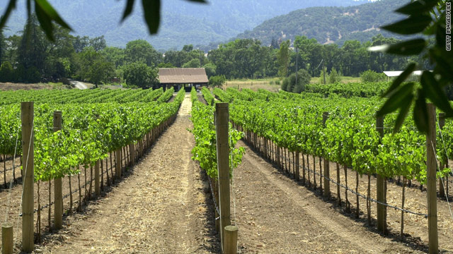 Napa Valleys Top Secrets