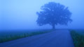 Roads less traveled