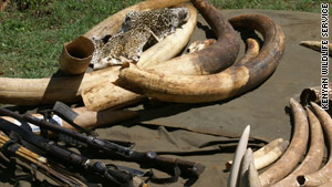 Illegal ivory, weapons and animal skins seized in Kenya during Monday's raids.