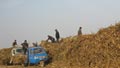 Corn stalks: China's alternative to coal?