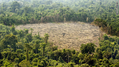 Saving the rainforests: REDD or dead?