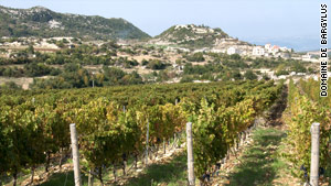 Domaine Bargylus is Syria's first private vineyard and is producing high-quality wine with European techniques.
