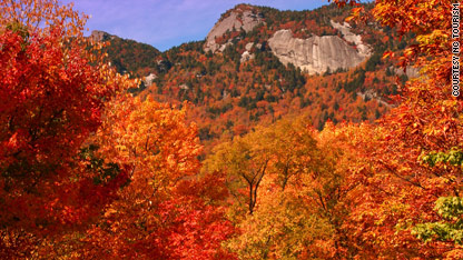 Where the leaves are