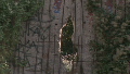 Searching for the Berlin Wall