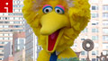 'Sesame Street' celebrates 40