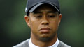 Experts: Tiger fallout fears are overblown