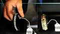 tzvids.madoff.auction.afp.gi.jpg