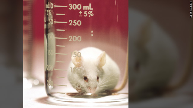 Some study results in rodents are more applicable to humans than others.