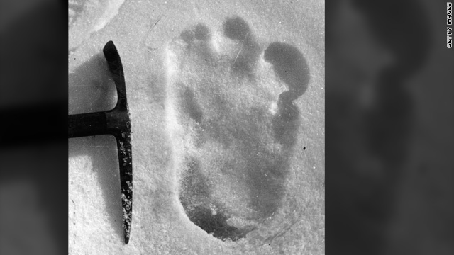 What Do We Know About Bigfoot?