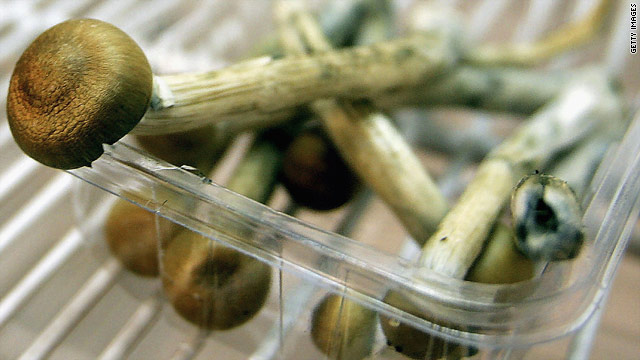 A new study shows that psilocybin, the active ingredient in "magic mushrooms," may help terminally ill cancer patients get some relief from anxiety.