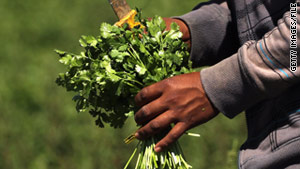 J&D Produce Inc. is issuing a "precautionary, voluntary" recall of cilantro packed between November 30 and December 6.