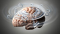 Bipolar disorder, schizophrenia similar